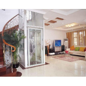 Luxury Home Elevator with Competitive Price